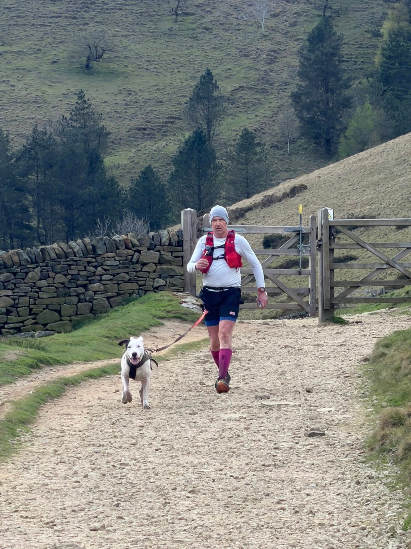 Steve O'Connor trail running with his dog during Challenge48 training